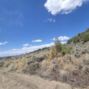 5.5 acres in Ft Garland, Colorado (Costilla County) - APN 70224790 (photo 4)